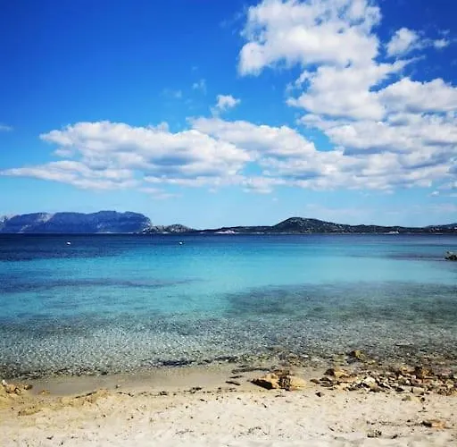 Sealine With An Amazing View Of Tavolara *